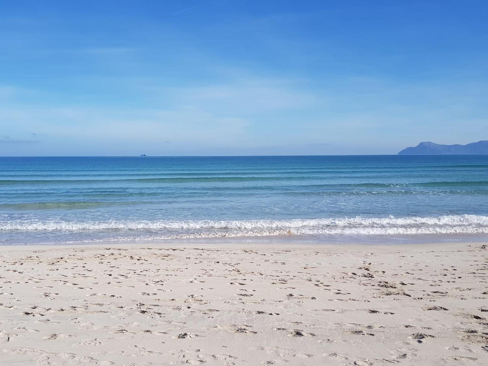 Ideal Property Mallorca - Cittadini 37 Alcudia  Bagian luar foto